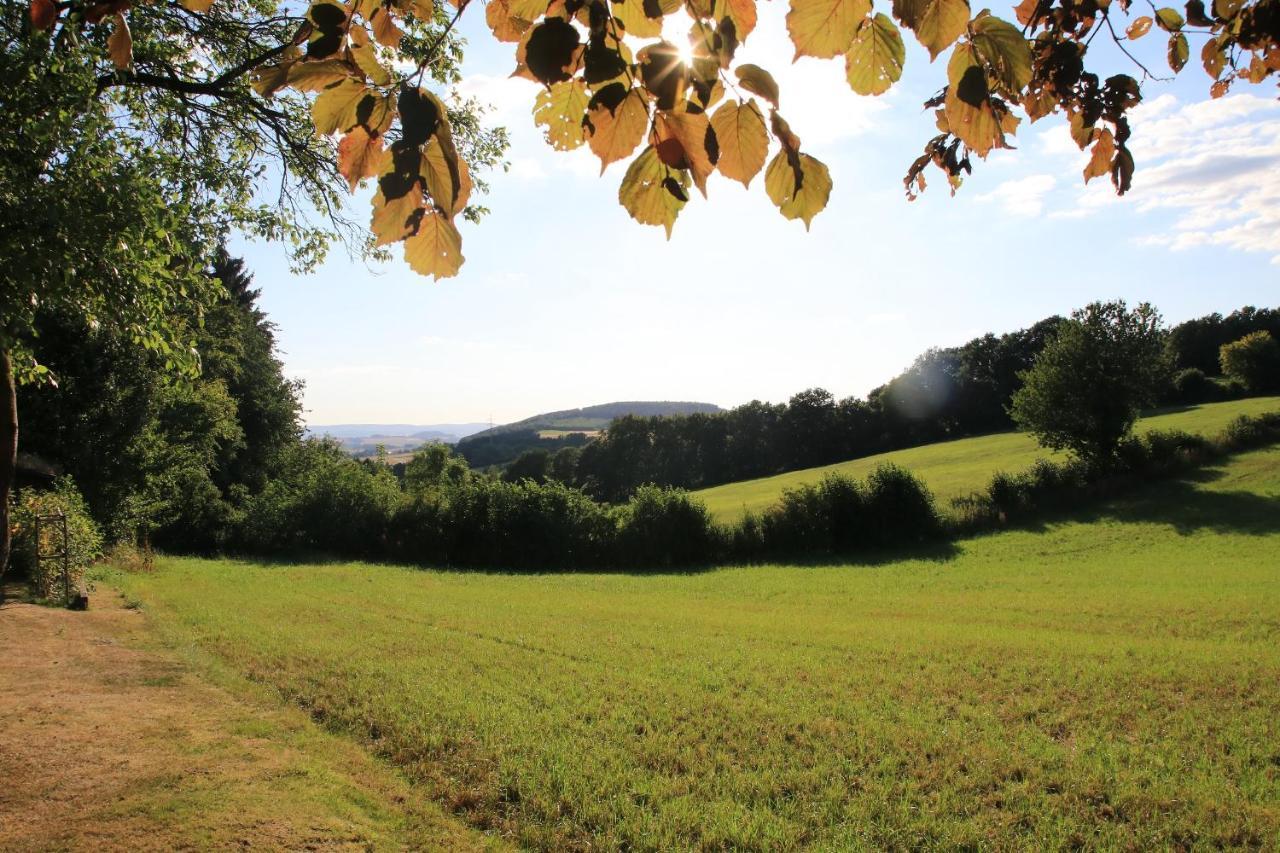 Ferienwohnung Naturfreund Lügde エクステリア 写真